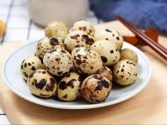 秋季生鲜蔬果高峰论坛
