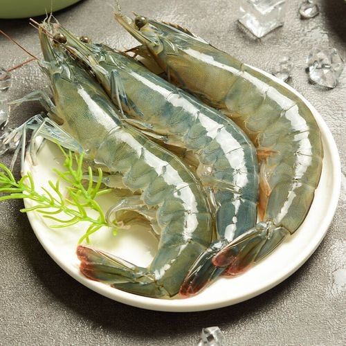 鲜活基围虾