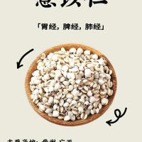 薏苡仁