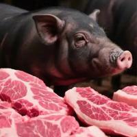 生态黑猪肉