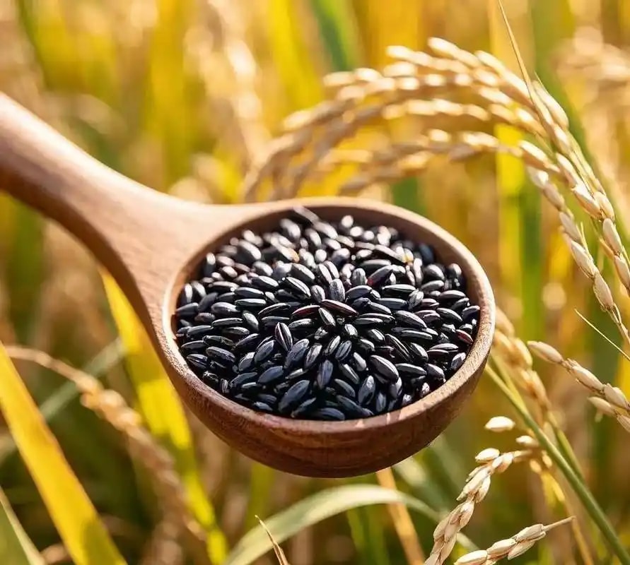 黑米杂粮