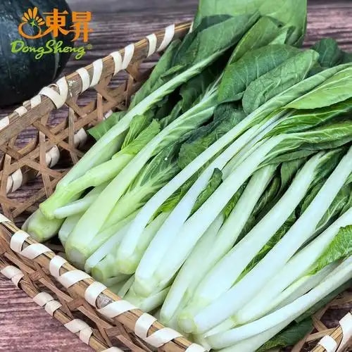 有机小白菜