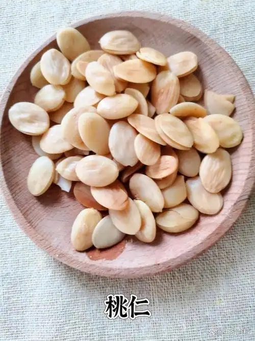 桃仁
