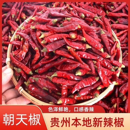 贵州朝天椒