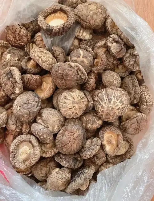 香菇干货